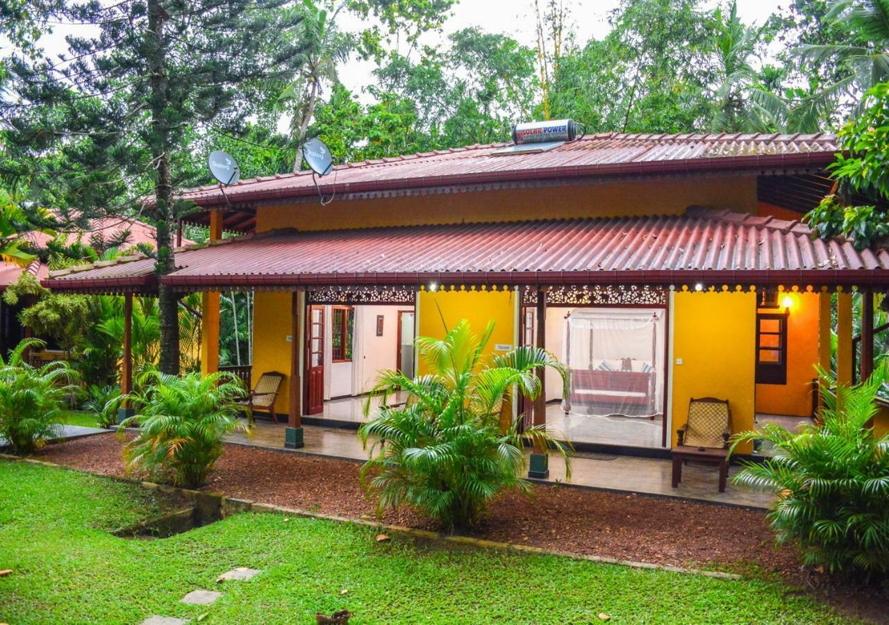 Araliya Gardens Hotel ฮิกคาดูวา ภายนอก รูปภาพ